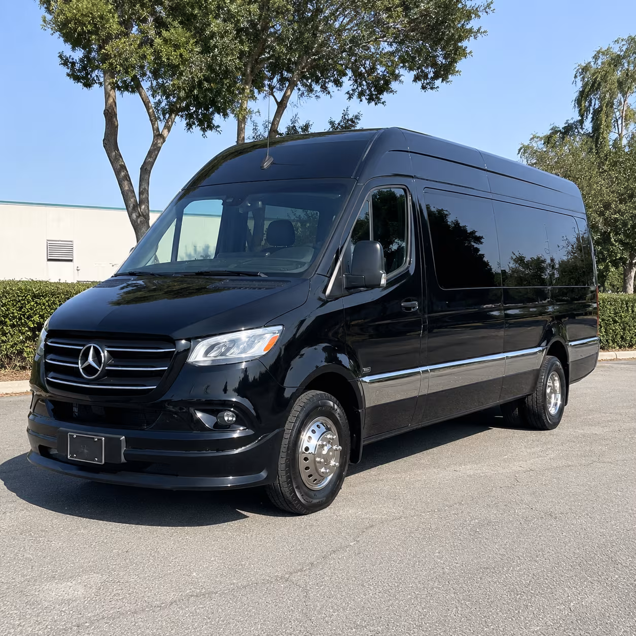12 passenger sprinter van