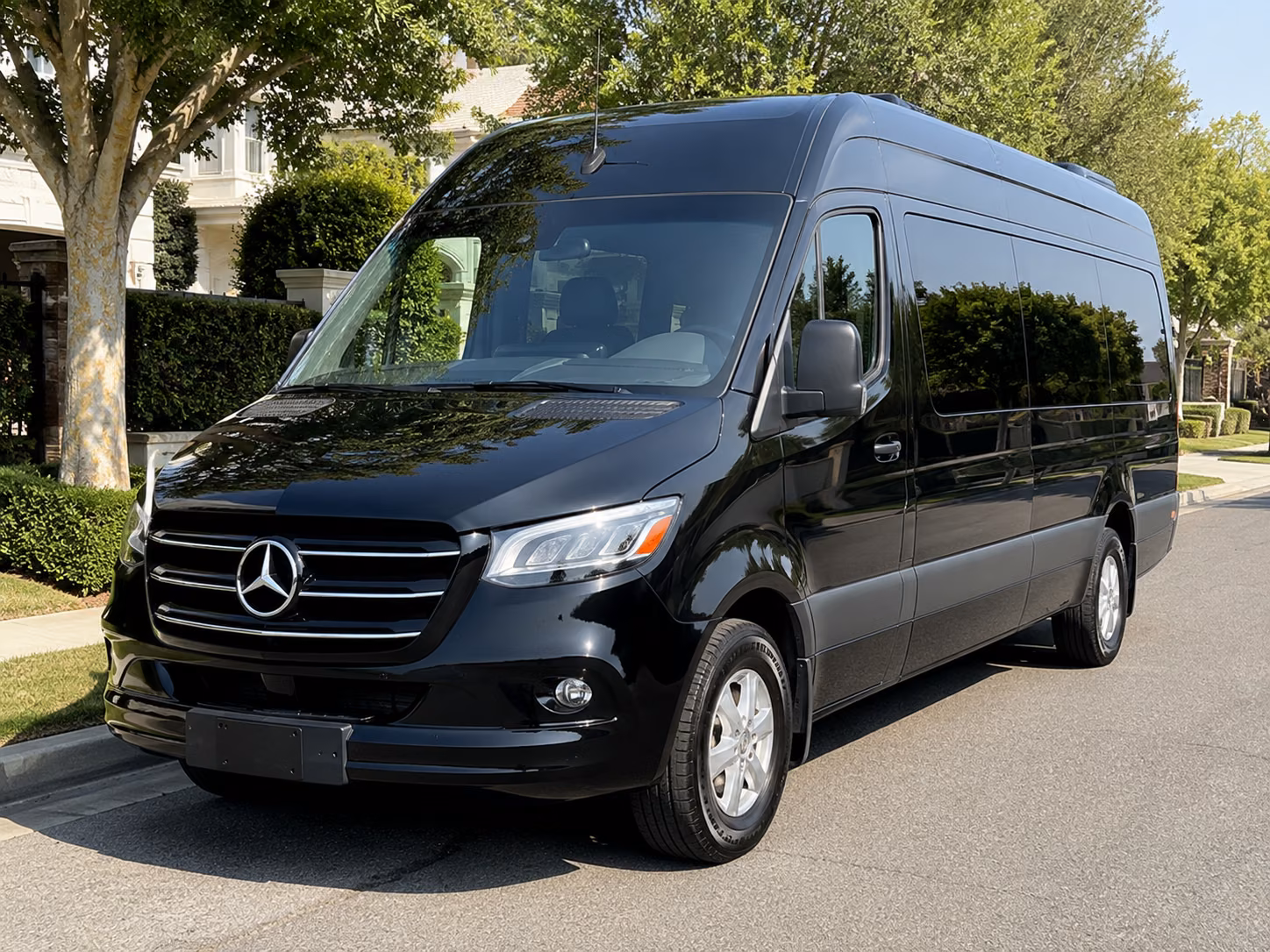alexandria 15 passenger sprinter van