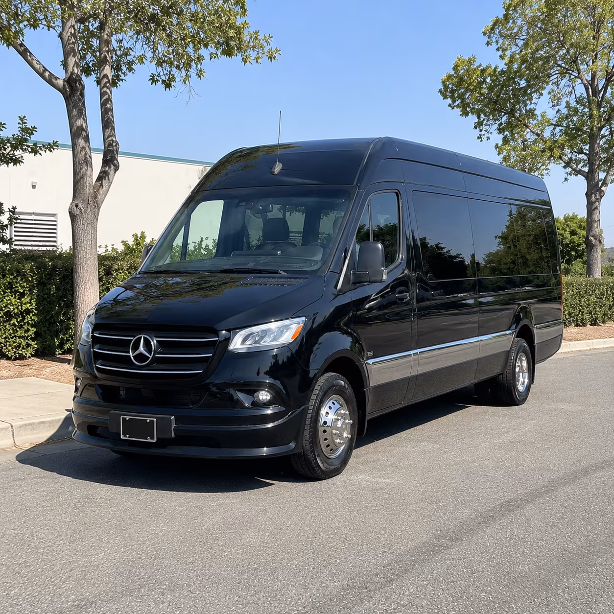 Alexandria Prom Transportation