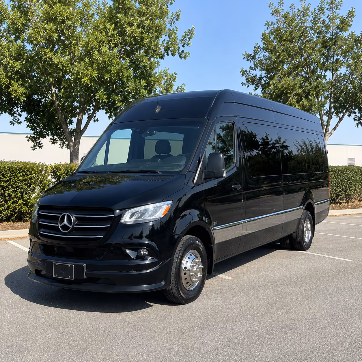 find the perfect transportation for your next birthday 1