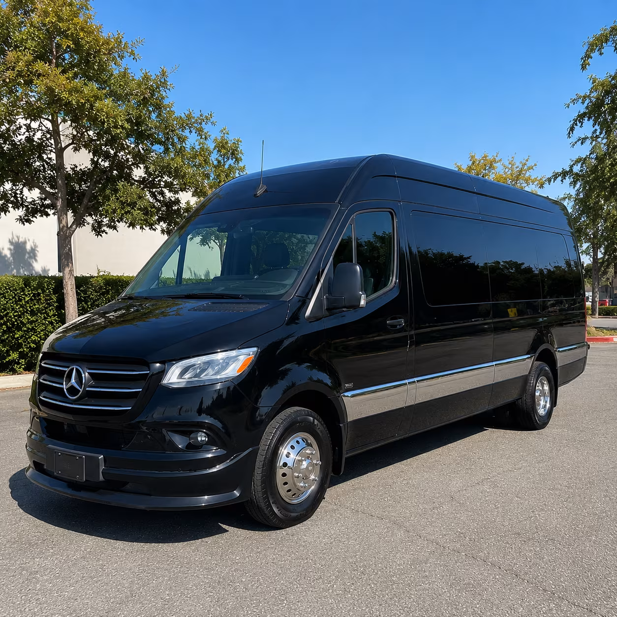 why rent using alexandriasprintervanrental com